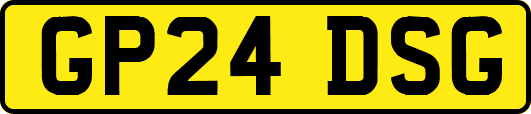 GP24DSG