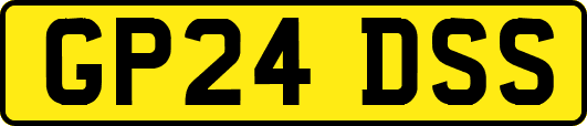 GP24DSS