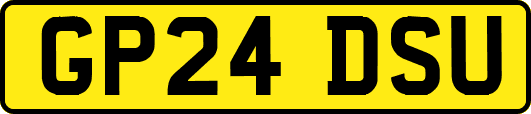 GP24DSU