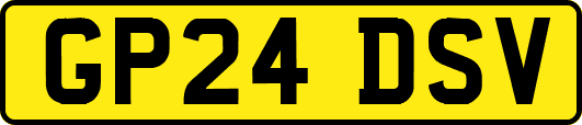 GP24DSV