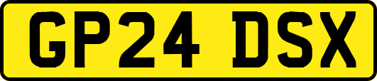 GP24DSX