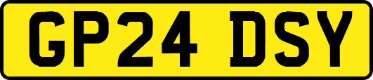 GP24DSY