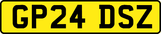 GP24DSZ