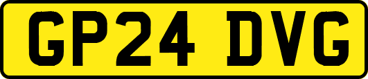 GP24DVG