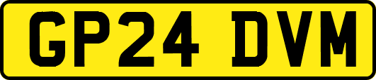 GP24DVM