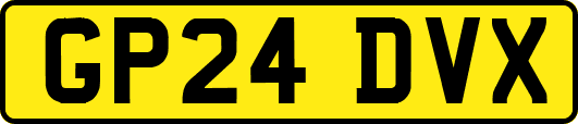 GP24DVX