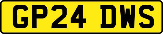 GP24DWS