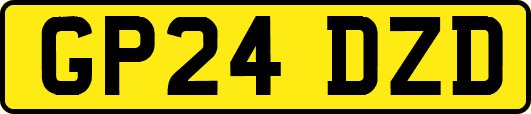 GP24DZD
