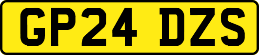 GP24DZS