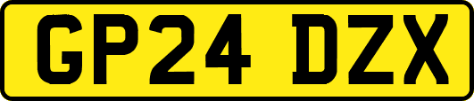 GP24DZX
