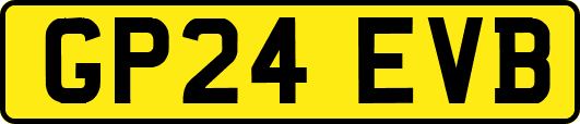 GP24EVB