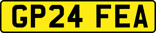GP24FEA