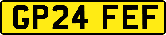 GP24FEF