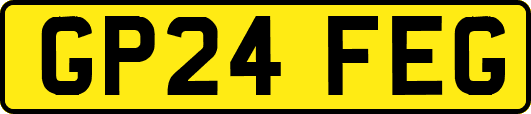 GP24FEG