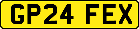 GP24FEX