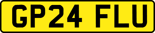 GP24FLU
