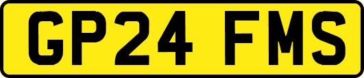 GP24FMS