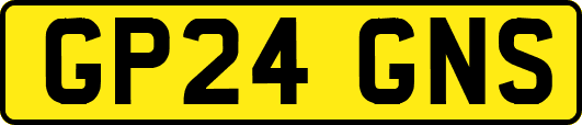 GP24GNS