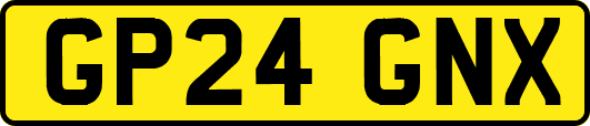 GP24GNX
