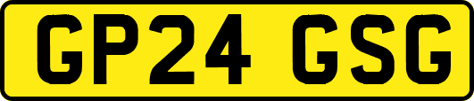 GP24GSG