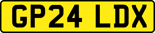 GP24LDX