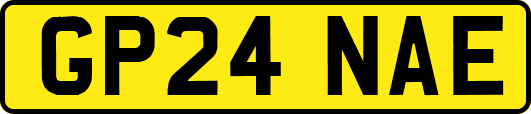 GP24NAE