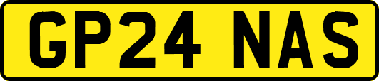 GP24NAS