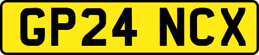 GP24NCX