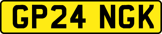 GP24NGK