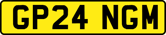 GP24NGM