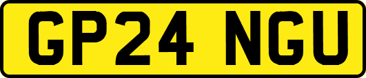 GP24NGU