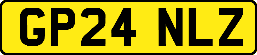 GP24NLZ