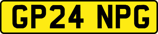 GP24NPG