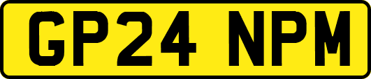 GP24NPM