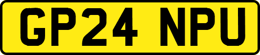 GP24NPU