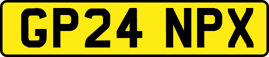 GP24NPX