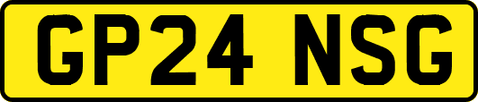 GP24NSG