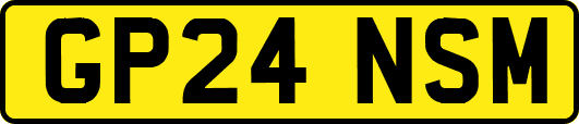 GP24NSM
