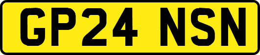GP24NSN