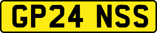 GP24NSS