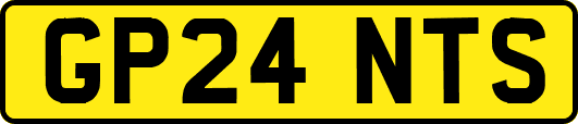 GP24NTS