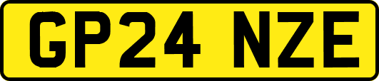 GP24NZE