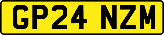 GP24NZM
