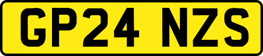 GP24NZS