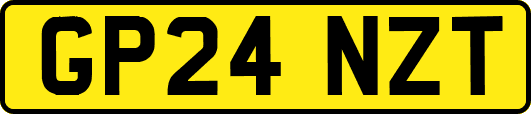 GP24NZT