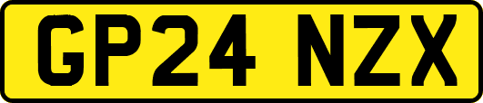 GP24NZX