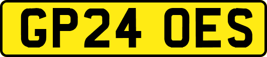 GP24OES