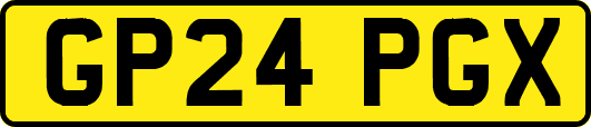 GP24PGX