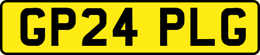 GP24PLG