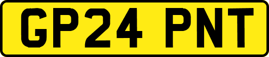 GP24PNT